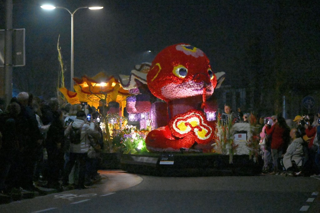 ../Images/Verlicht bloemencorso 2025 161.jpg